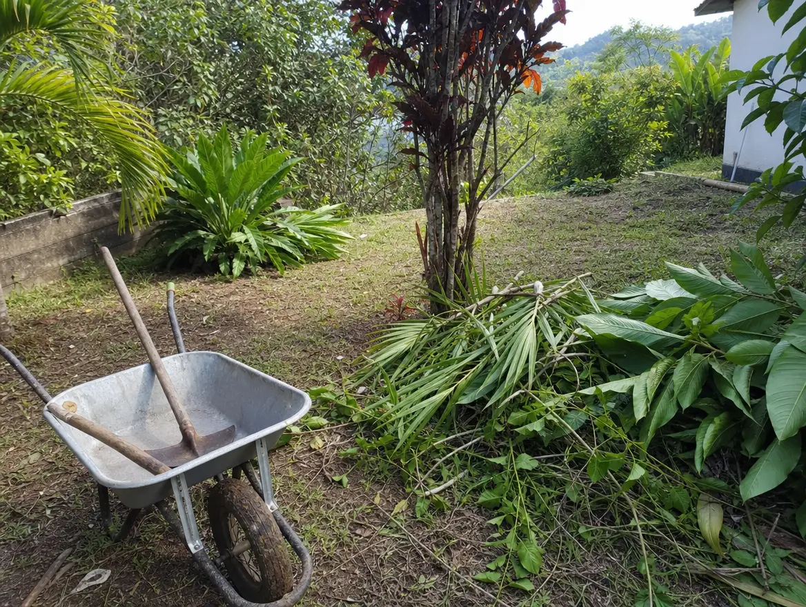 Jardinier paysagiste, Boueni · 1430 € (Bouéni)