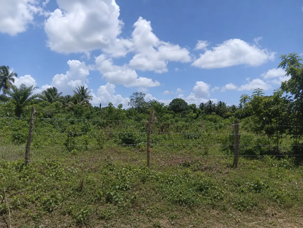 Terrain 800 m² viabilisé à vendre, quartier calme · 45000 € (Bandrélé)