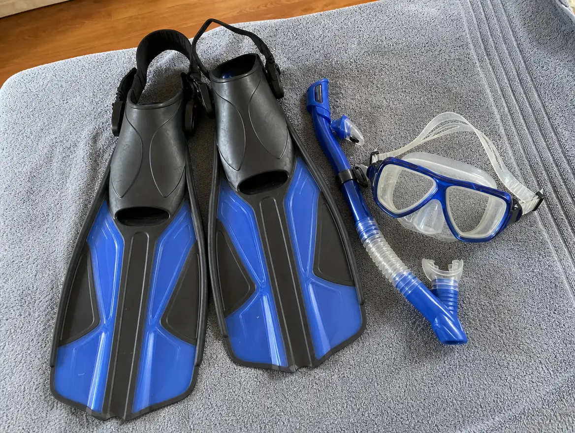 Masque, tuba et palmes adulte · 20 € (Chirongui)