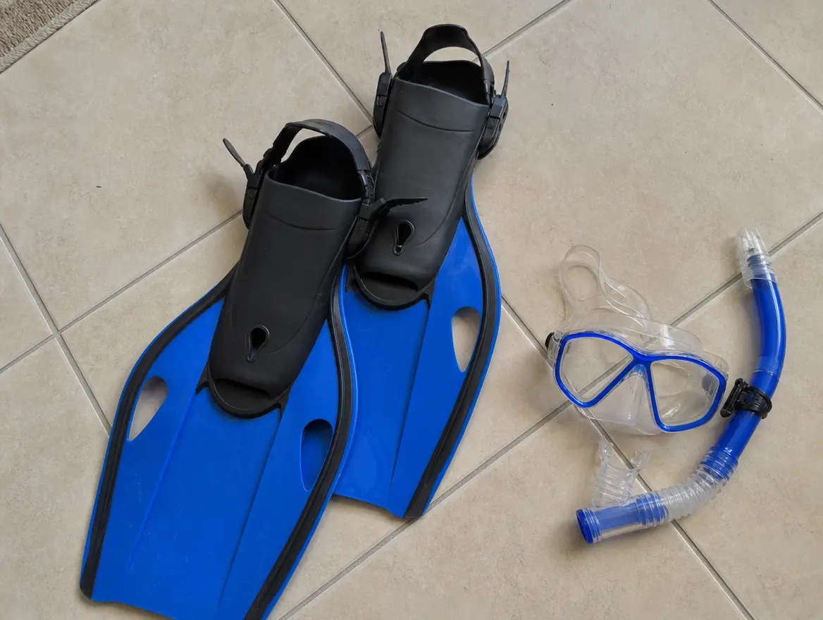 Palmes, masque et tuba pour snorkeling - taille 42/43 · 35 € (Dzaoudzi)