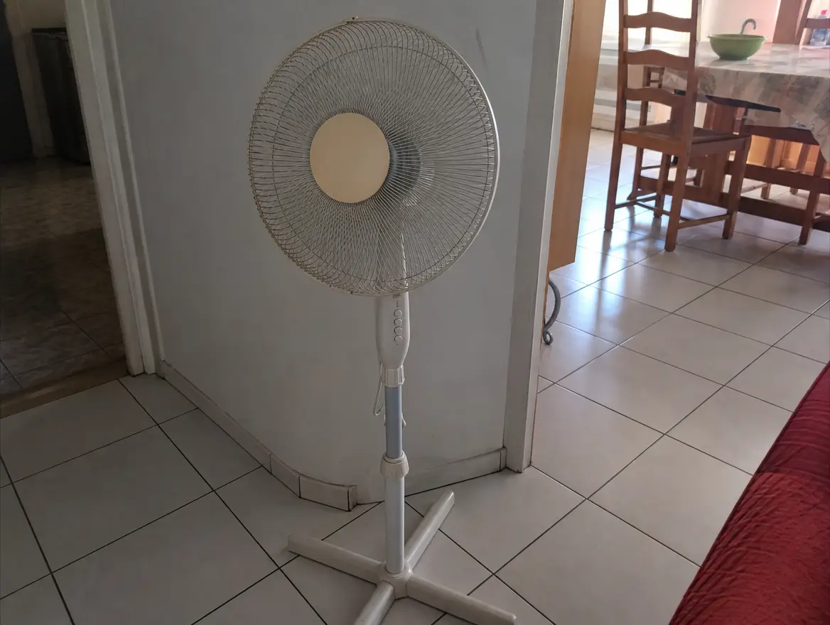 Ventilateur sur pied, bon état · 25 € (Dzaoudzi)