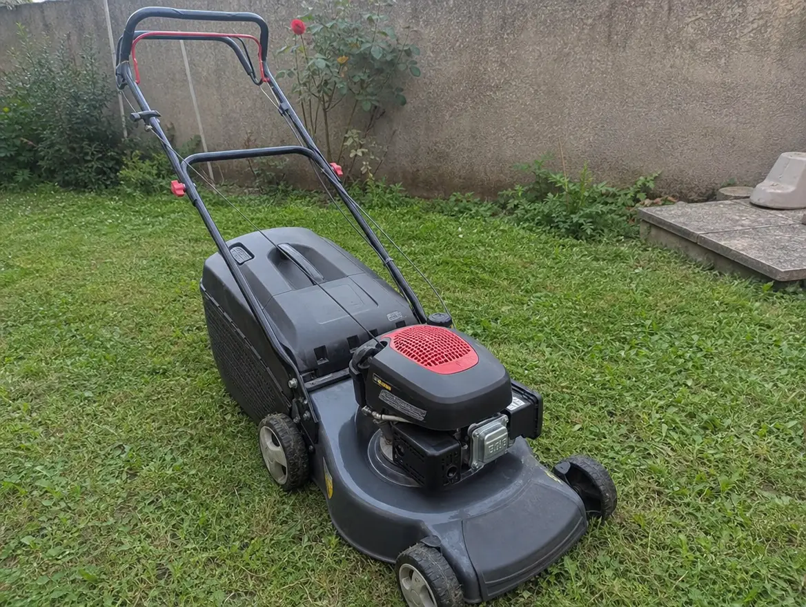 Tondeuse à gazon thermique avec bac · 140 € (Tsingoni)