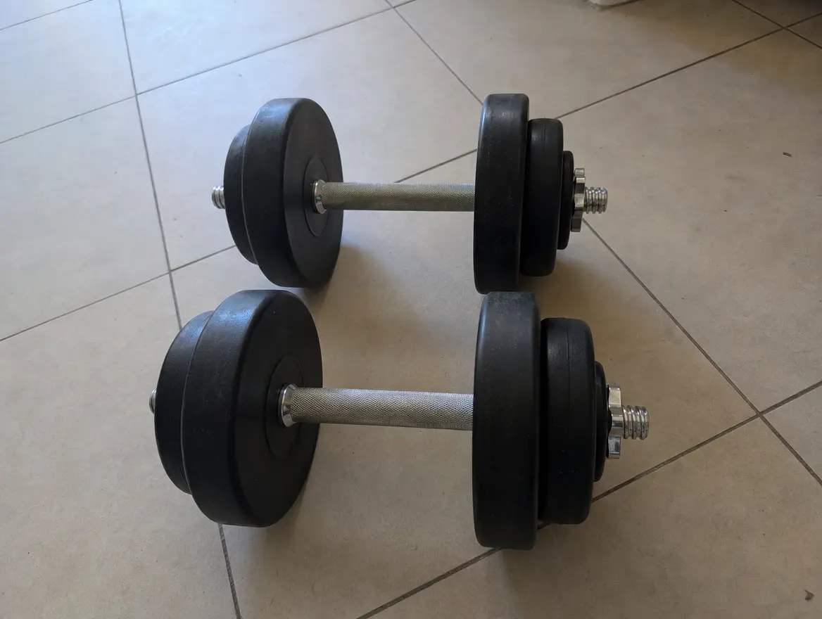 Haltères 2×10 kg à Pamandzi