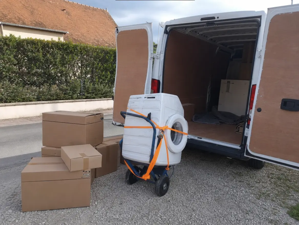 Petit déménagement / transport · 30 € (Pamandzi)