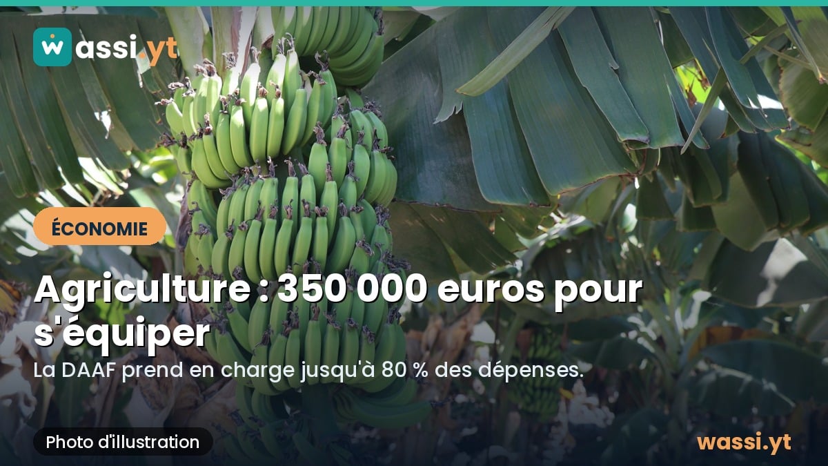 Agriculture à Mayotte : 350 000 euros pour aider les exploitations à s'équiper