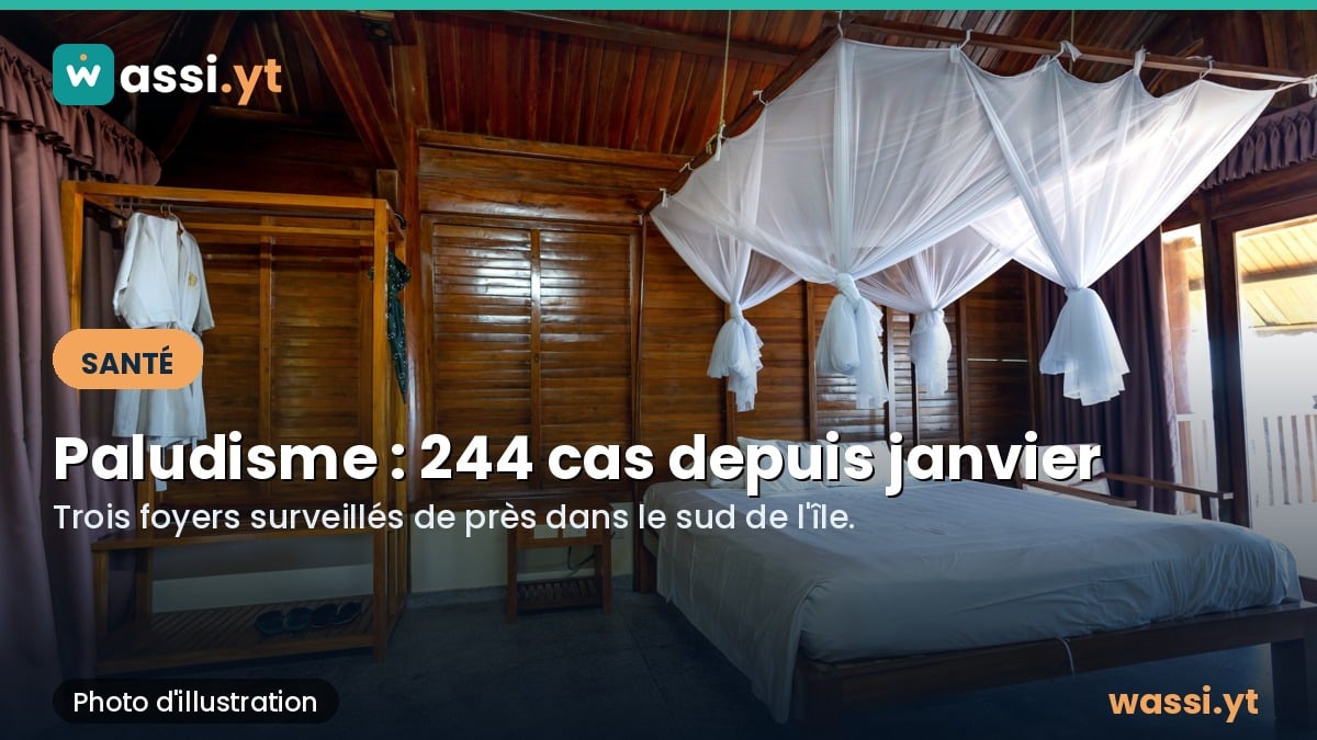 Paludisme à Mayotte : 244 cas depuis janvier, trois foyers actifs dans le sud de l'île