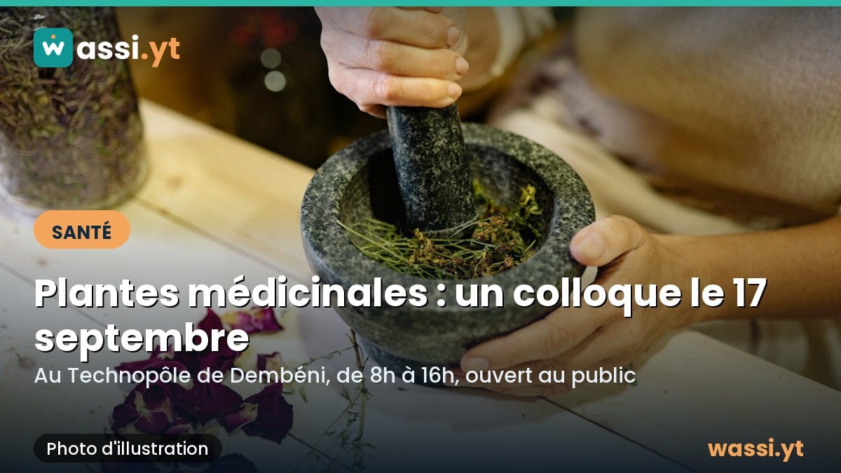 Plantes médicinales : un colloque sur la médecine traditionnelle le 17 septembre à Dembéni
