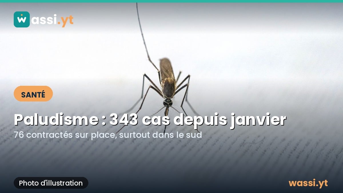 Paludisme : 343 cas à Mayotte depuis janvier, la transmission locale repart