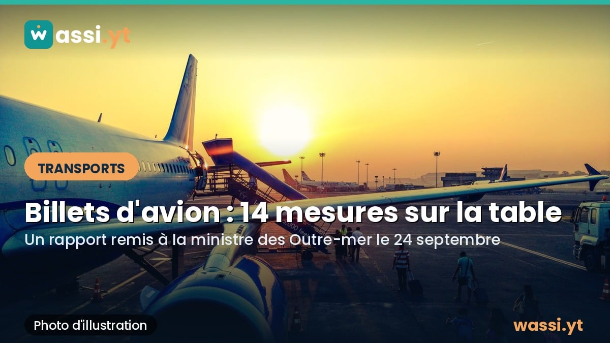 Billets d'avion : 14 mesures proposées à l'État pour faire baisser les prix vers les Outre-mer