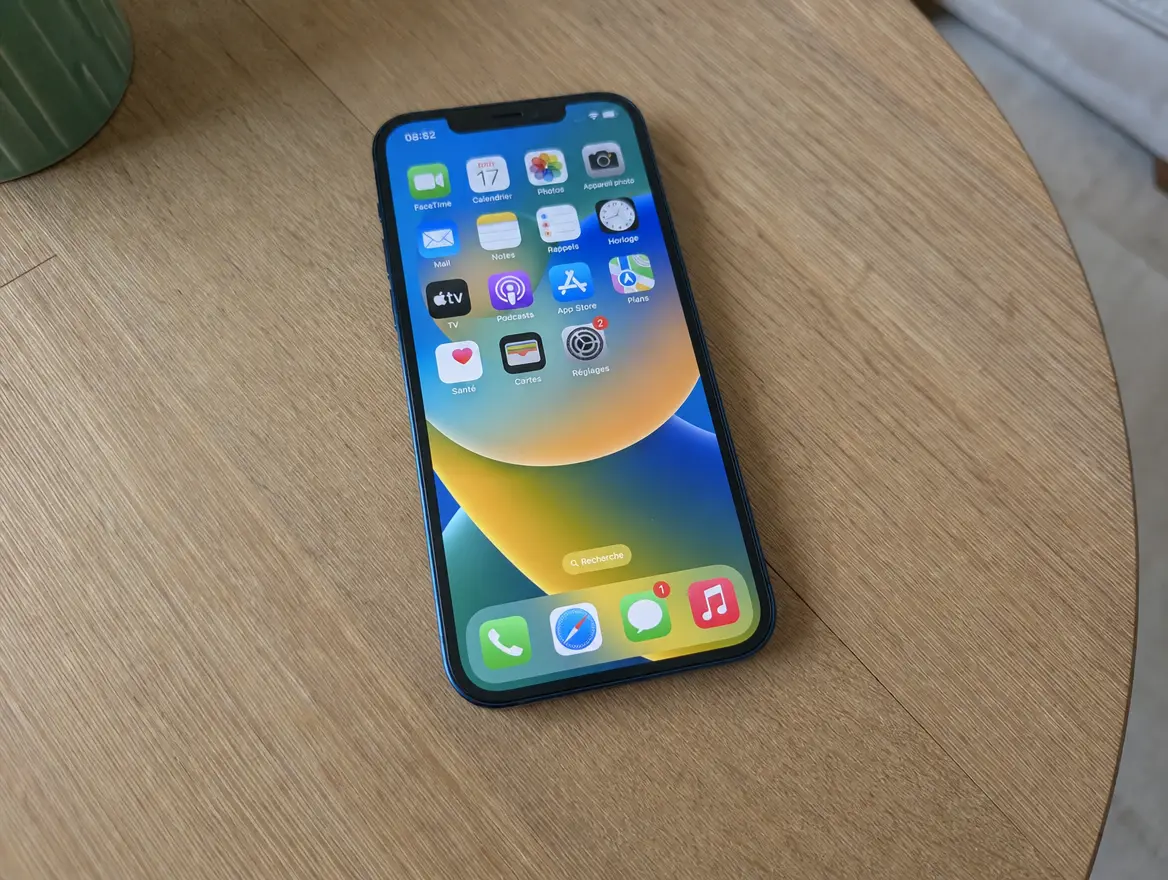iPhone 12 64 Go, bon état · 350 € (Pamandzi)