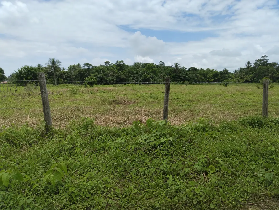 Vente terrain constructible à Ouangani · 78000 € (Ouangani)